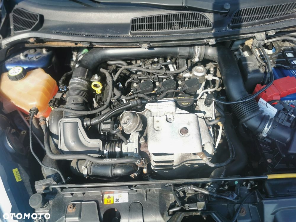 Ford Fiesta - 8