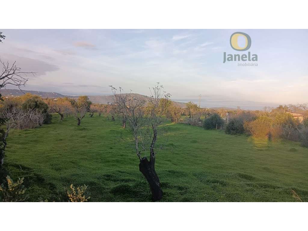 Terreno Rústico Venda Olhão - Grande imagem: 2/4