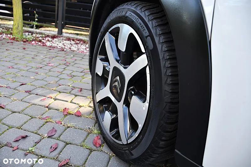 Citroën C4 Cactus 1.6 Blue HDi Shine Edition - 28