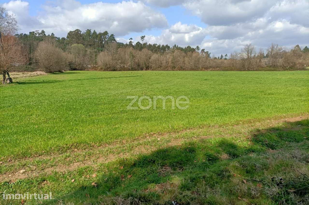 Terreno de 6080 m2, Cervães - Vila Verde - Grande imagem: 2/19
