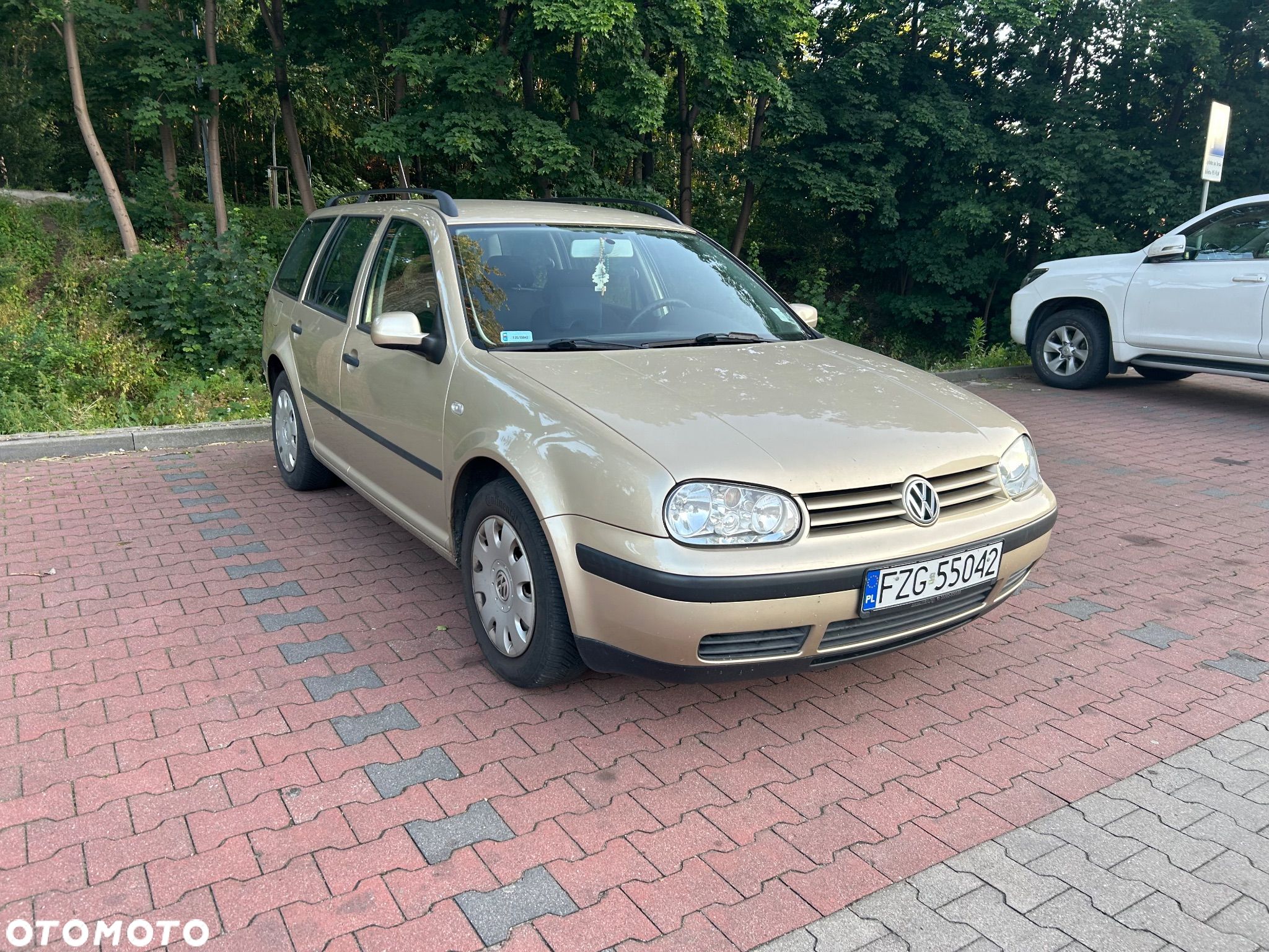 Volkswagen Golf - 1