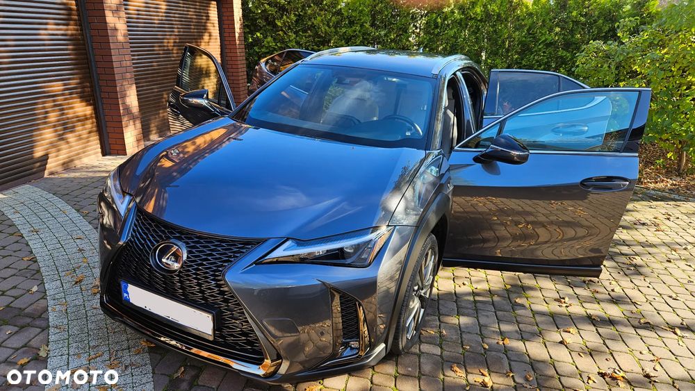 Lexus UX 250h GPF F Sport Design 2WD - 11