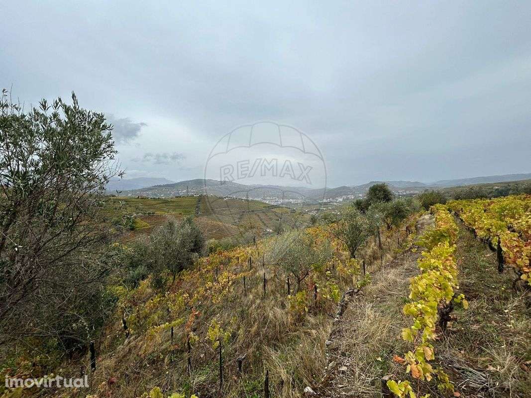 Terreno  para venda - Grande imagem: 2/14