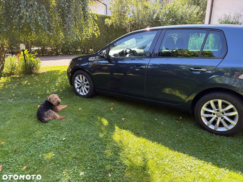 Volkswagen Golf - 6