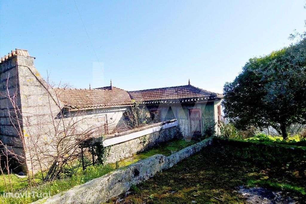 Quinta com 2 casas  16000 m2 de terreno em Paços de Gaiolo com vistas - Grande imagem: 2/60
