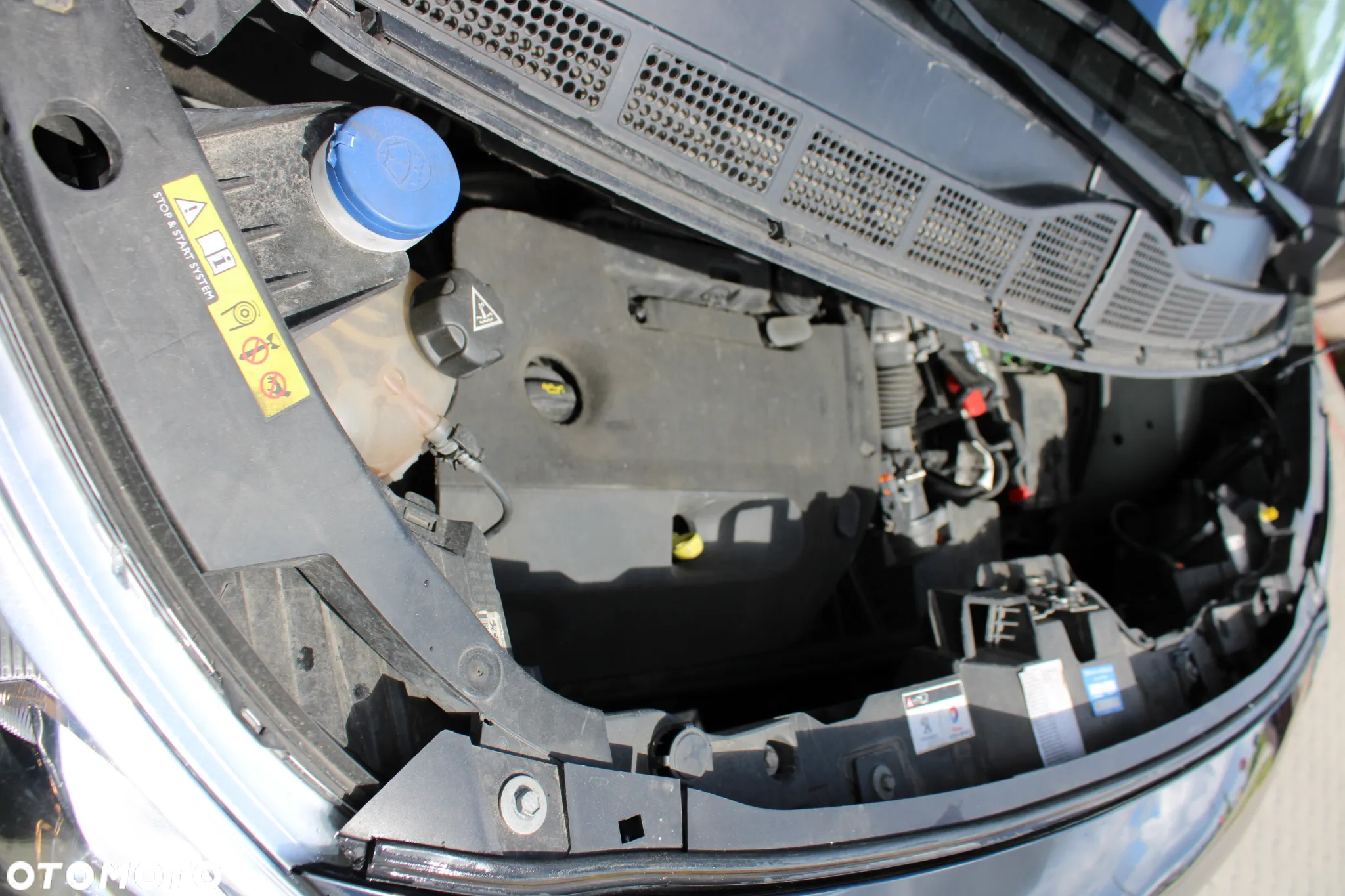 Peugeot Expert III - 8