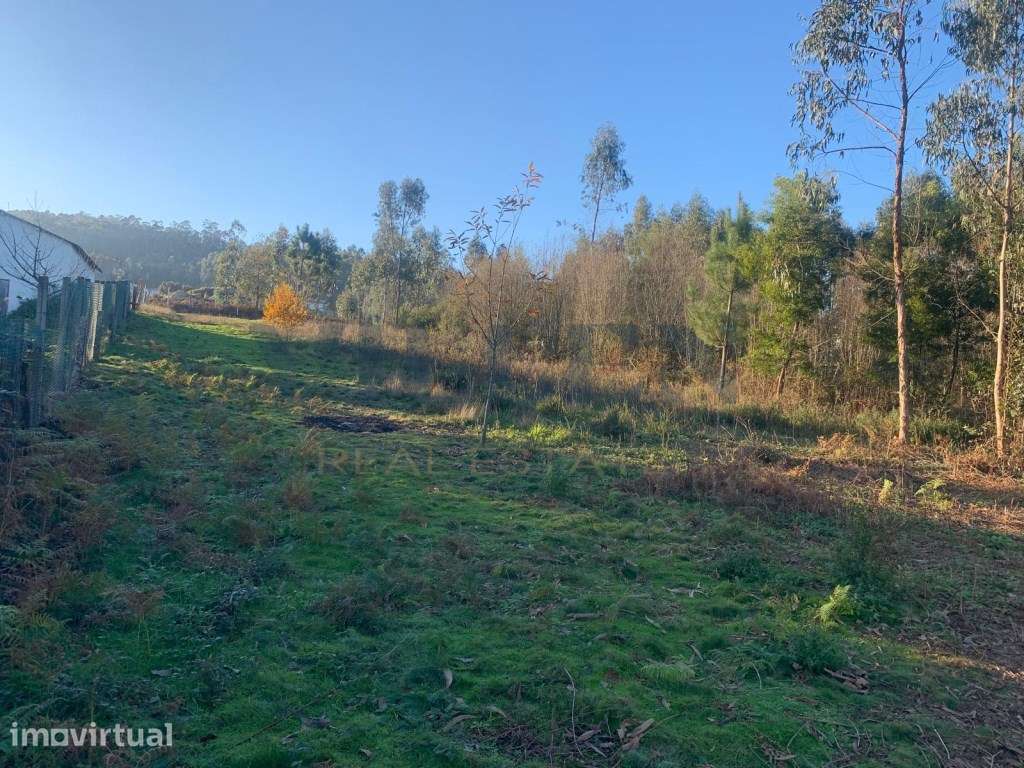 Terreno Industrial com Grande Potencial - Guidões, Trofa - Grande imagem: 2/12