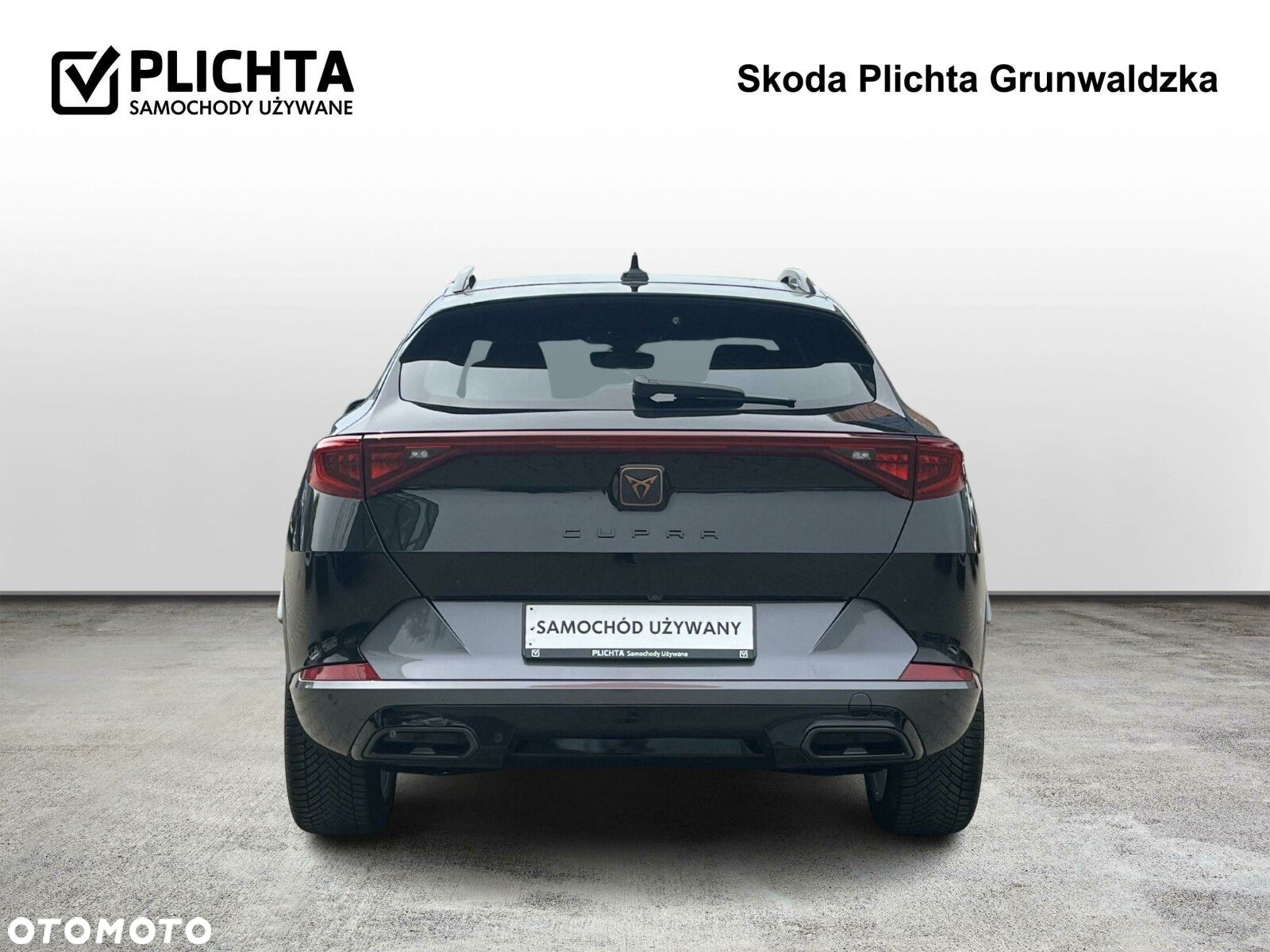 Cupra Formentor 2.0 TSI 4Drive DSG - 4