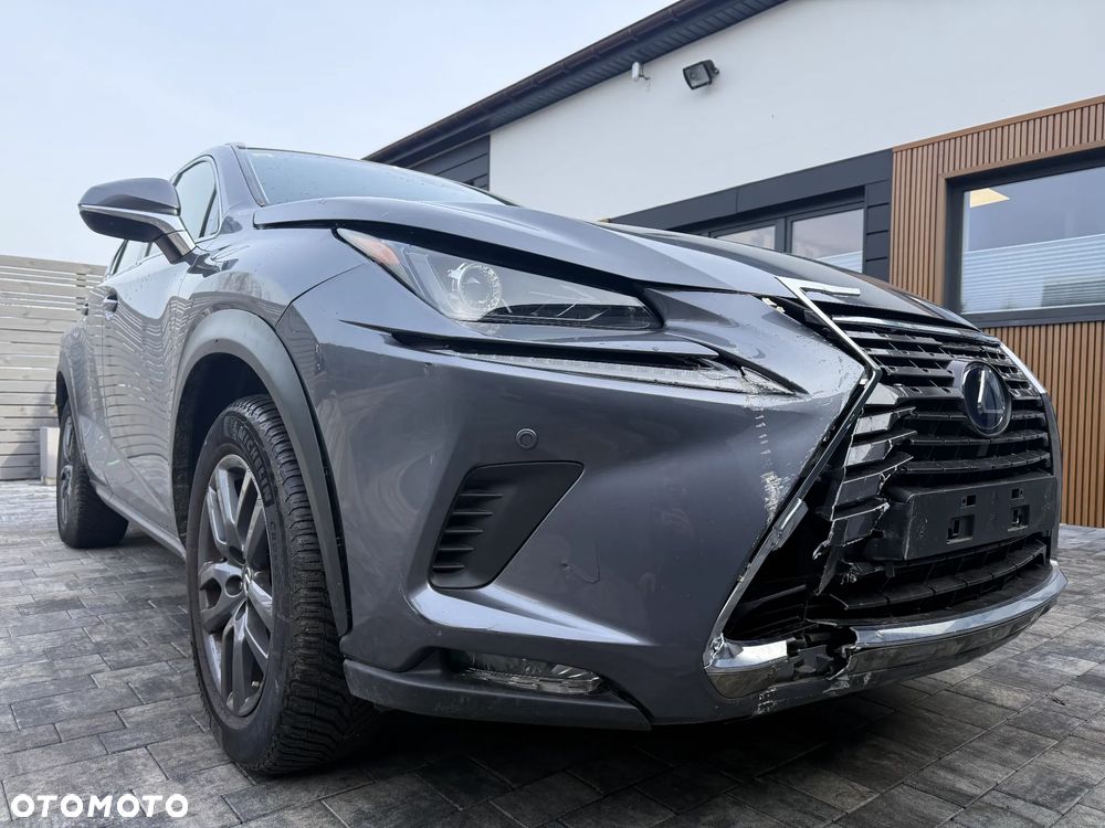 Lexus NX 300h E-FOUR Executive-Line - 7