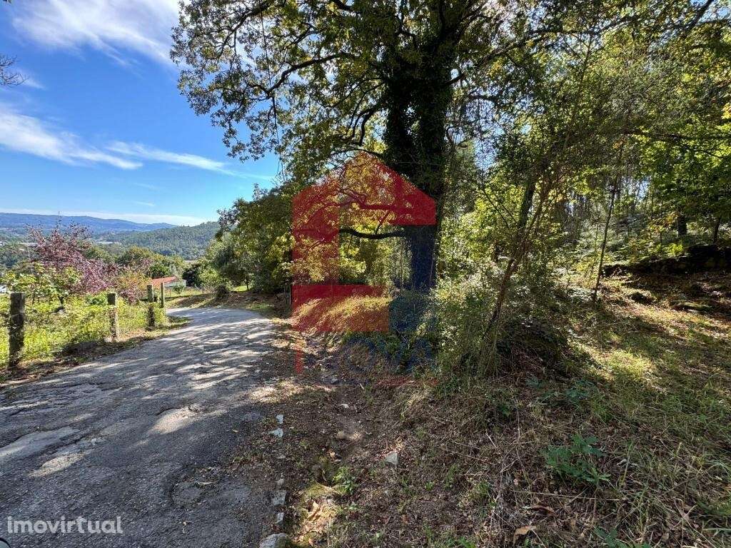 Terreno para construção, Mós - Grande imagem: 2/13