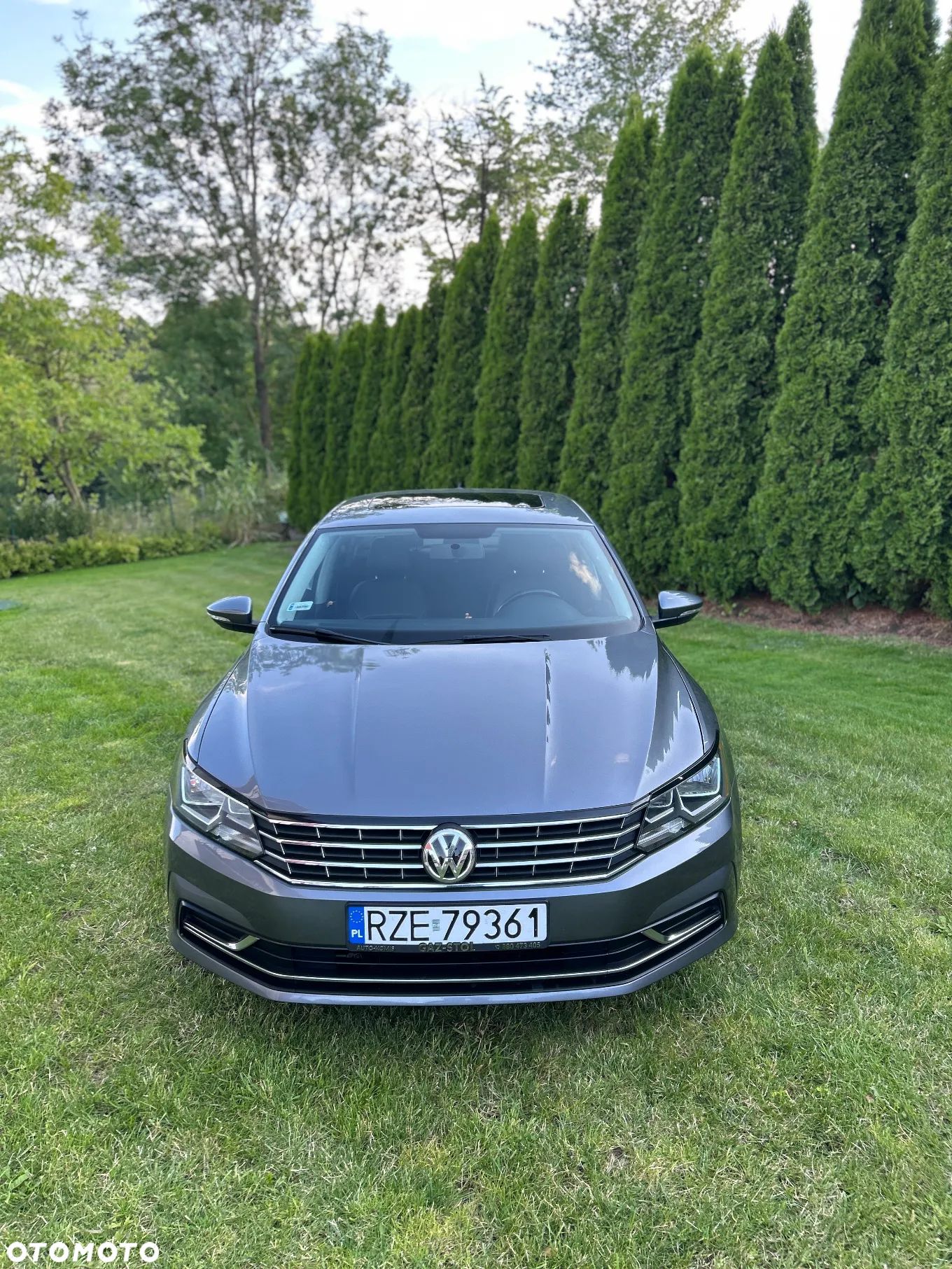 Volkswagen Passat - 1