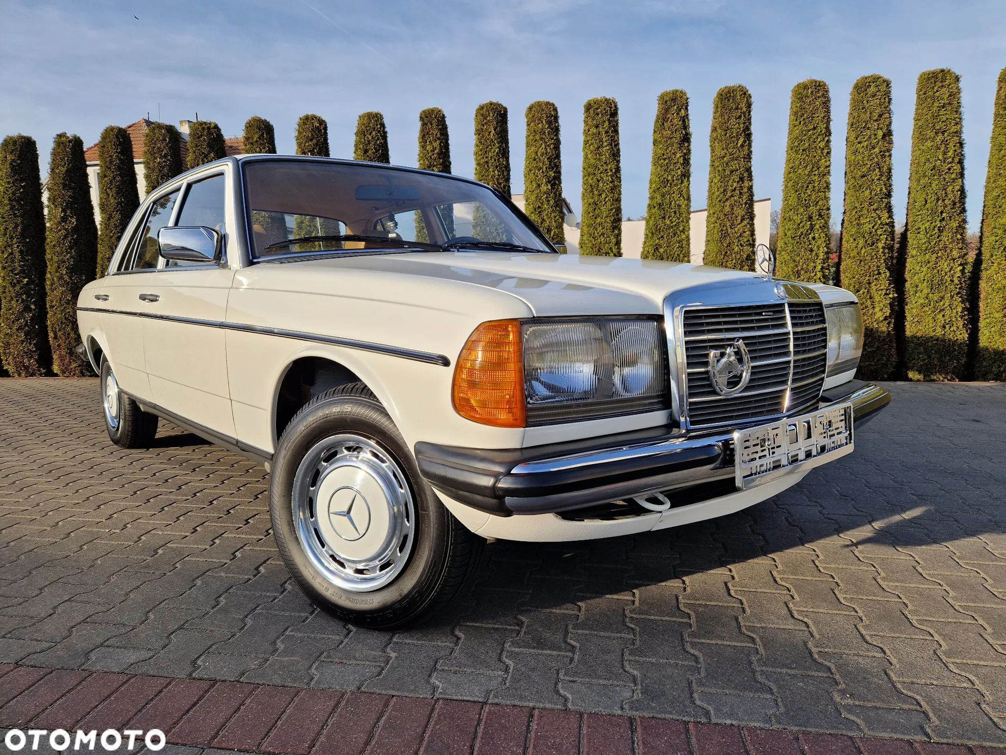 Mercedes-Benz W123 - 1