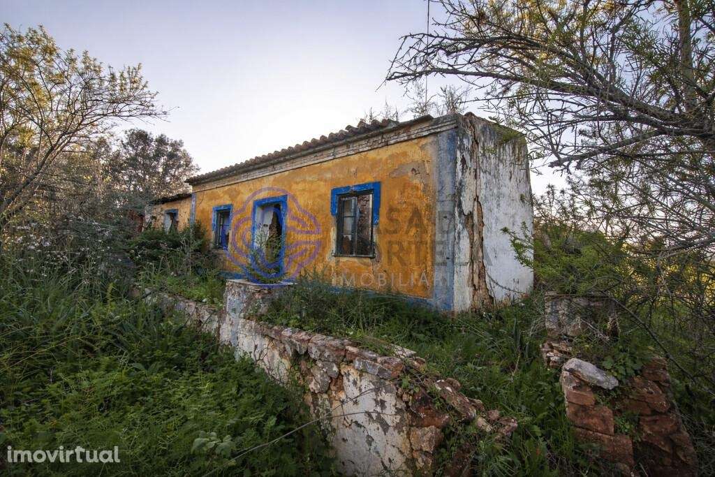 Entre a serra e o litoral. Terreno 4.000 m2 | Construção até 600m2 | 2 - Grande imagem: 3/16