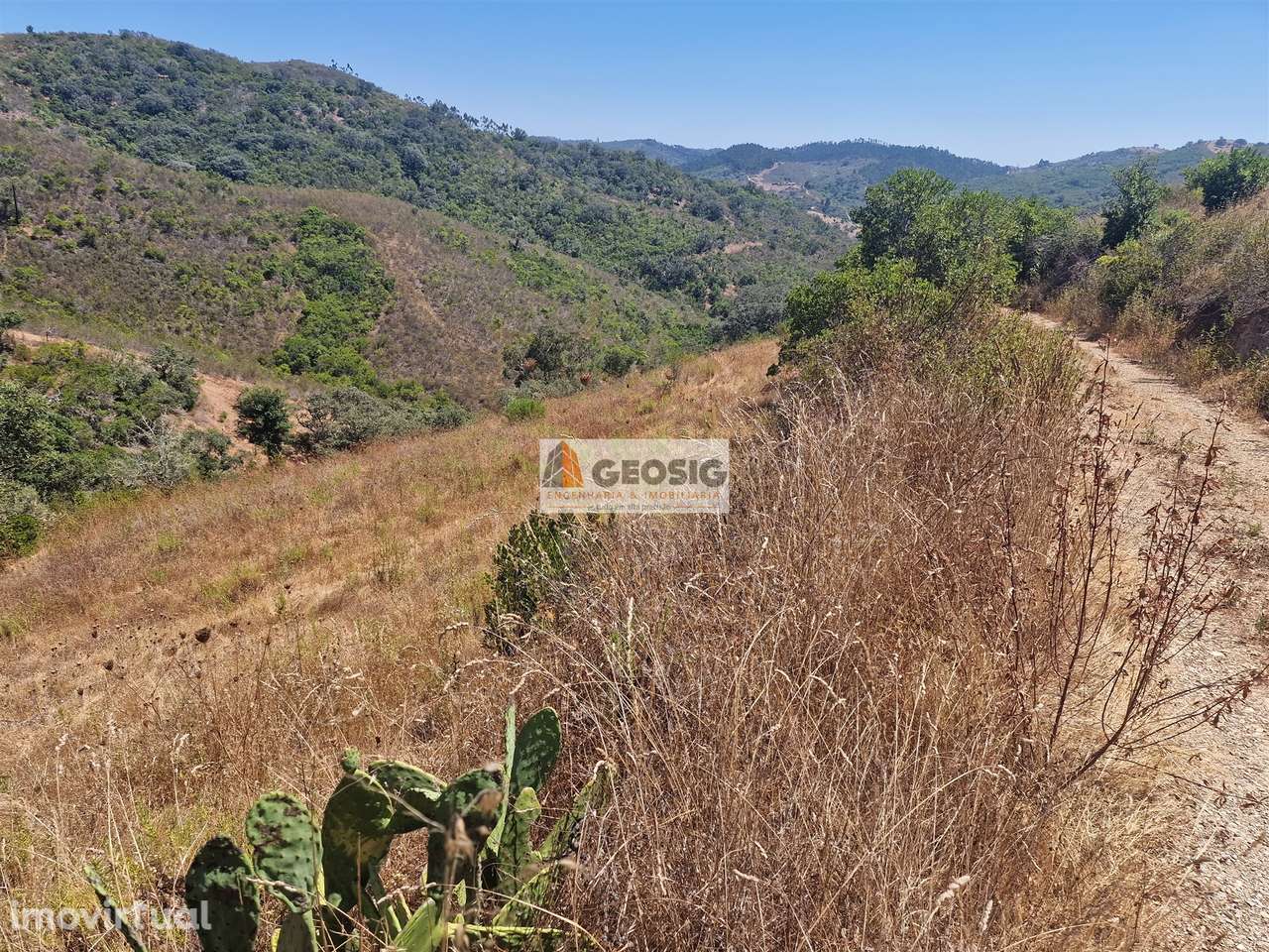 Terreno Rústico  Venda em Santana da Serra,Ourique - Grande imagem: 5/15