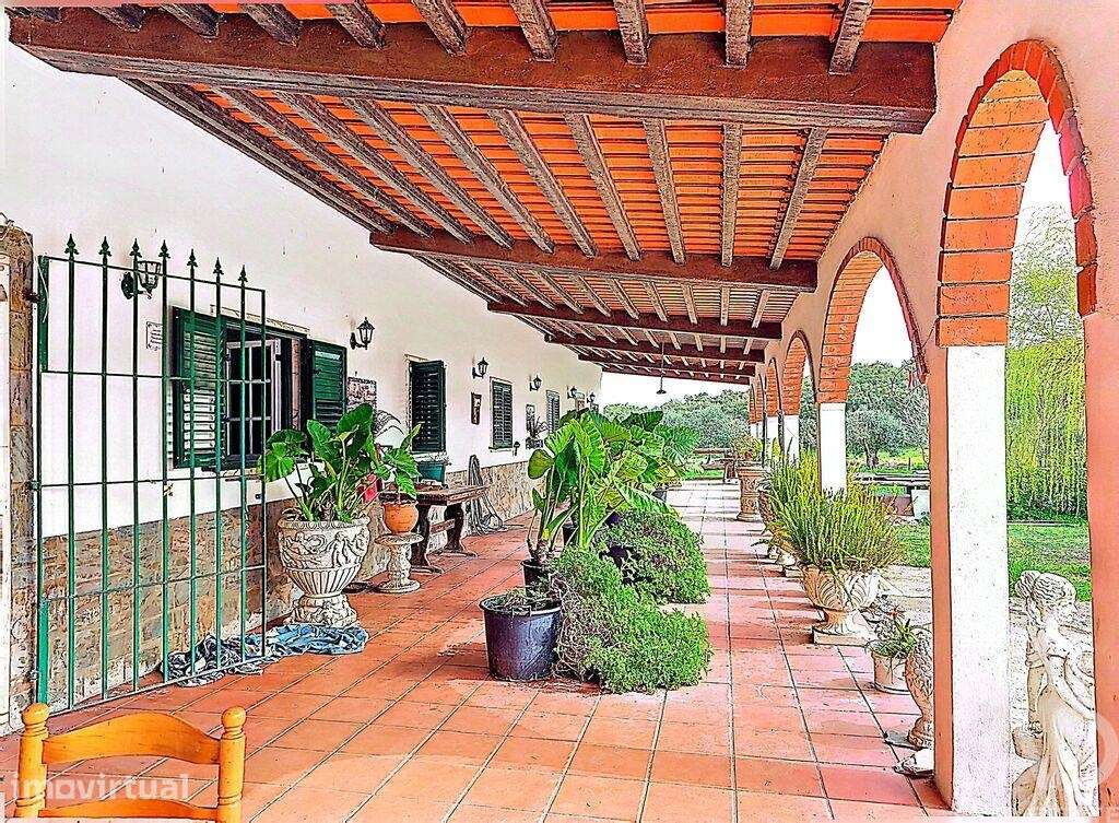Quinta rural T3 em Nossa Senhora da Conceição e São Bartolomeu de 210, - Grande imagem: 5/39