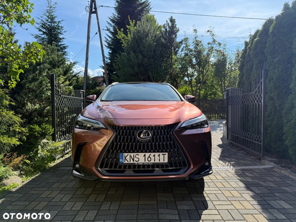Lexus NX 350h Omotenashi AWD - 2