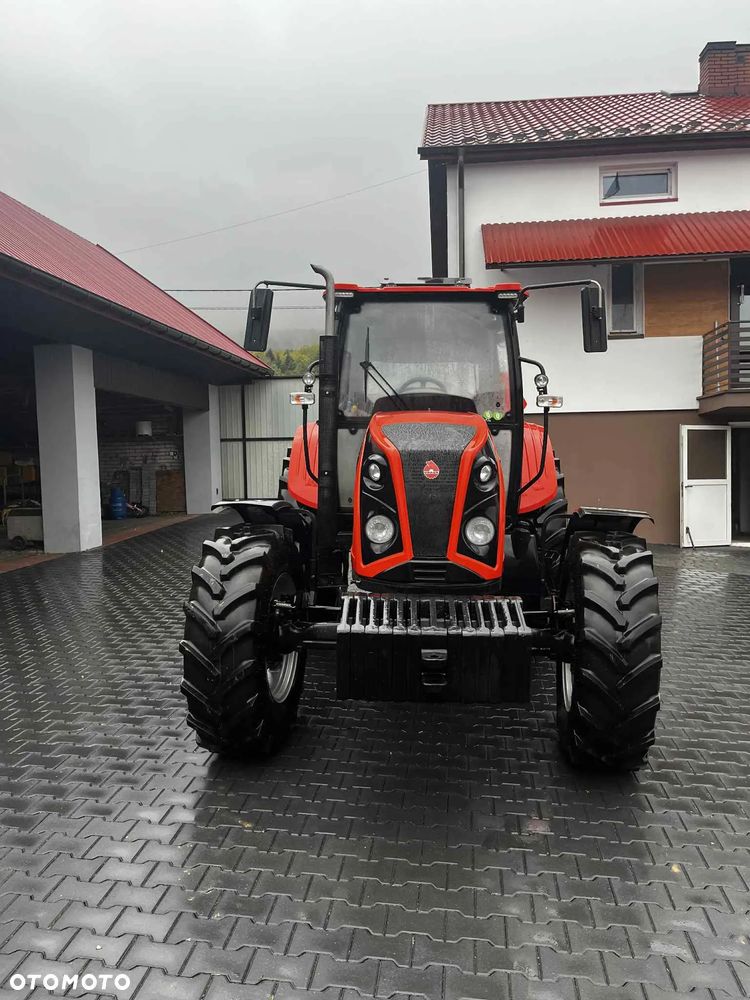 Ursus ursus c-3110 - 2