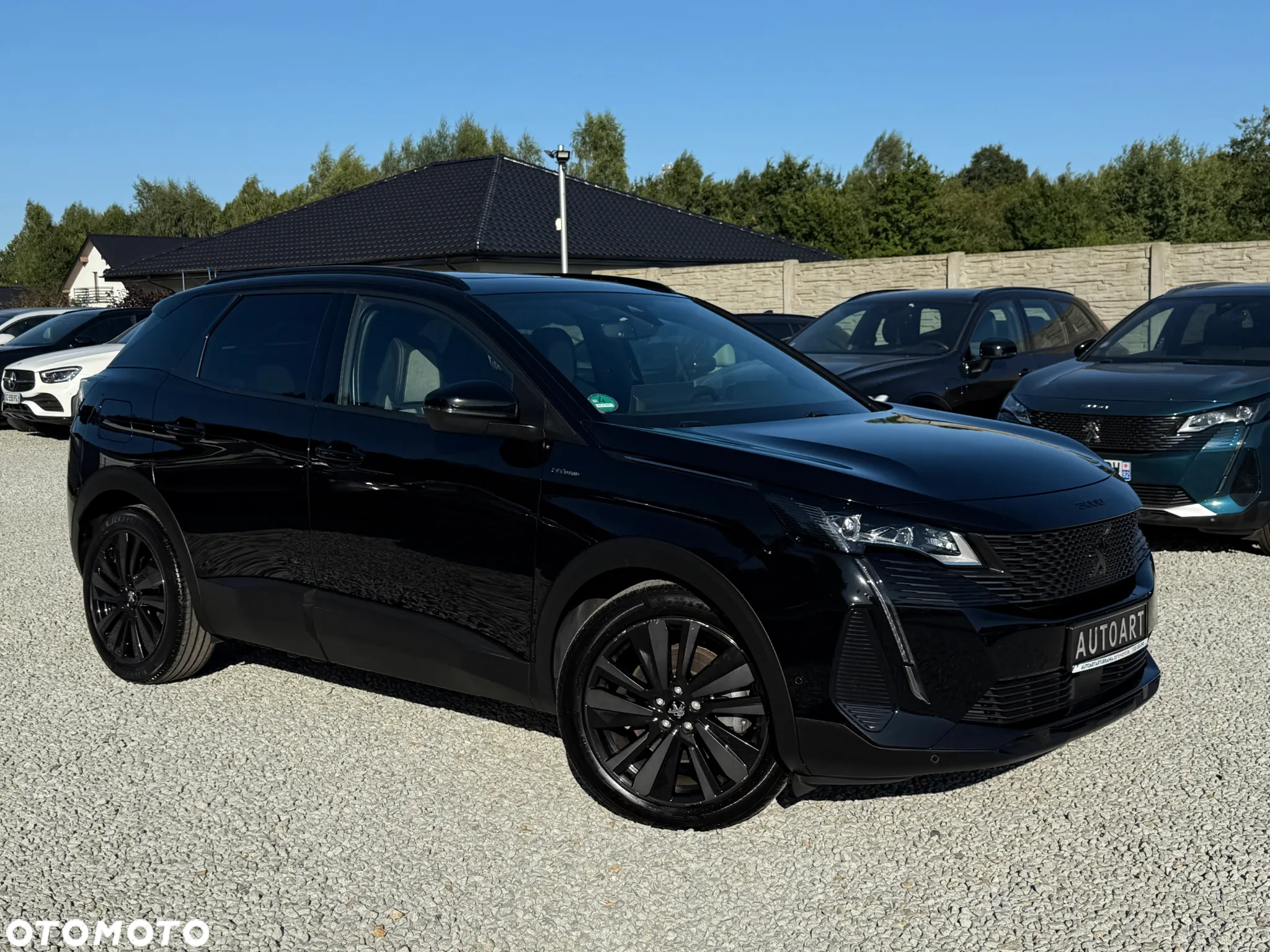Peugeot 3008 - 21