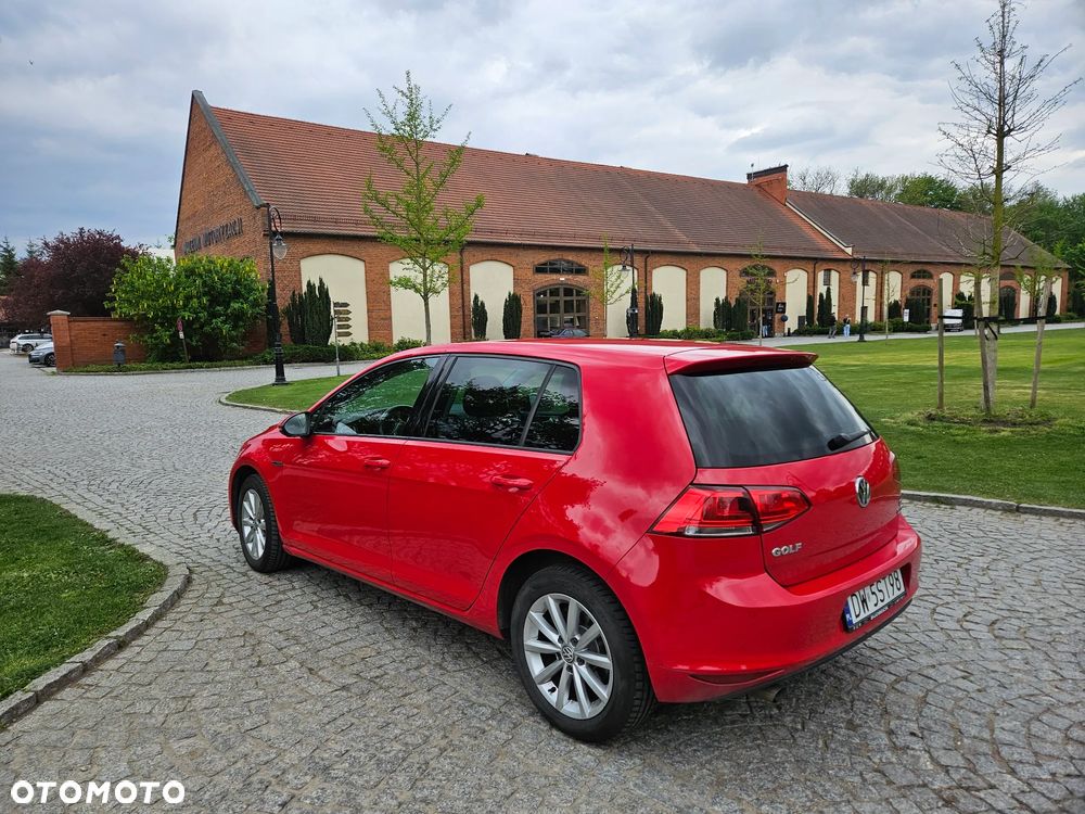 Volkswagen Golf 1.6 TDI BlueMotion Trendline - 5
