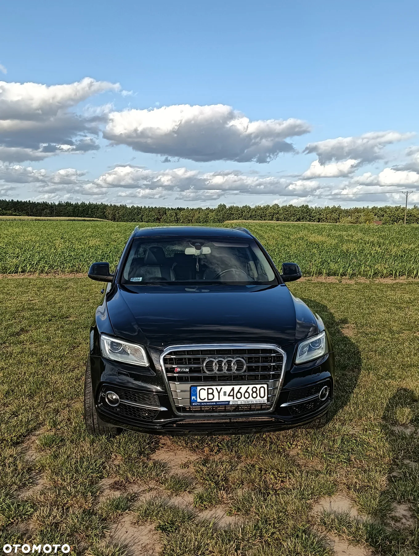 Audi Q5 3.0 TDI Quattro S tronic - 5