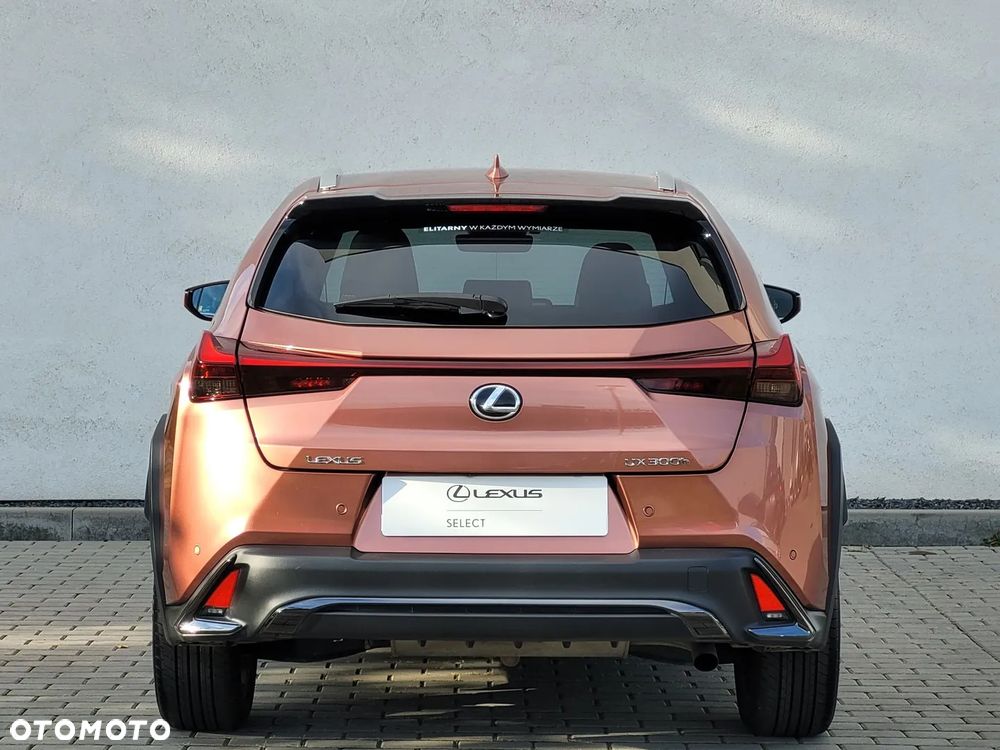 Lexus UX 300h F Sport Design - 9