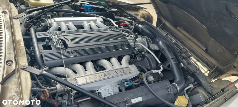 Jaguar XJS - 24