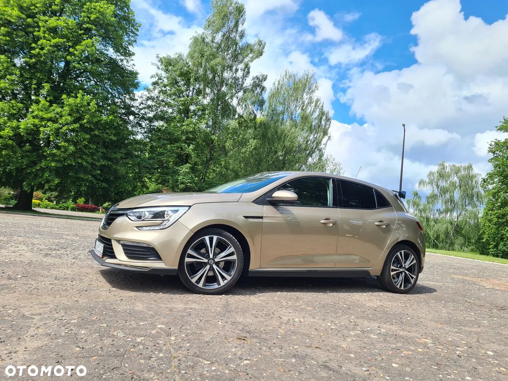 Renault Megane - 19
