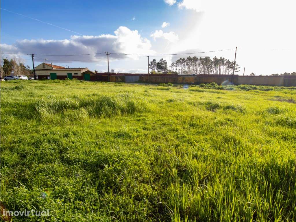 Terreno - Grande imagem: 5/5