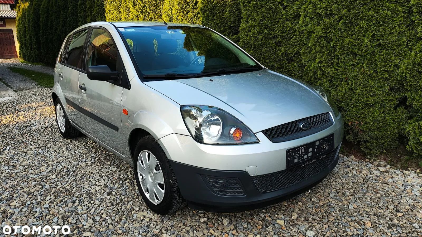 Ford Fiesta - 1