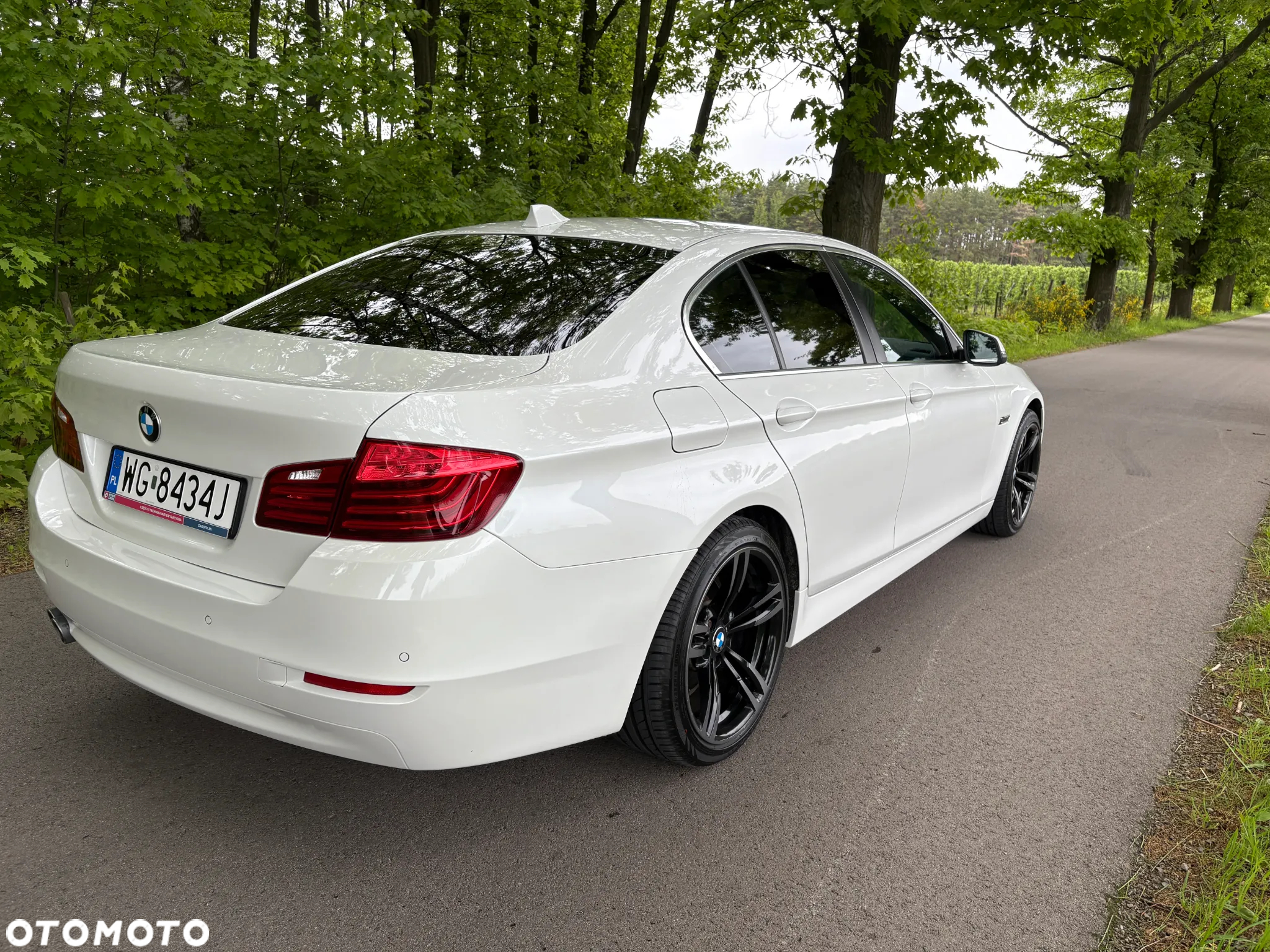 BMW Seria 5 520d - 29