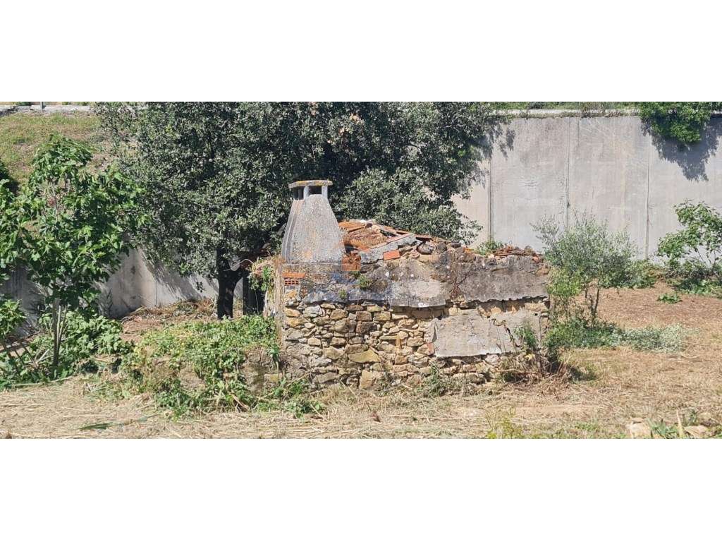 MTM6873 - Quintinha 3.000m2 | Torres Vedras - Grande imagem: 2/11