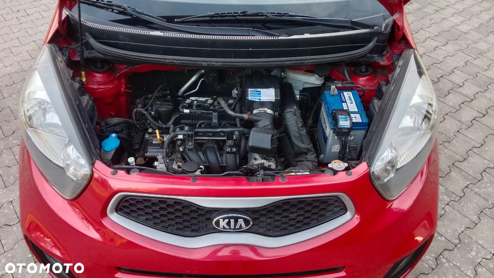 Kia Picanto 1.0 Dream Team Edition - 11