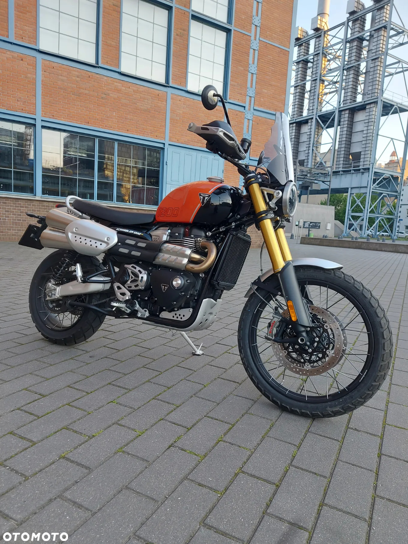 Triumph Scrambler