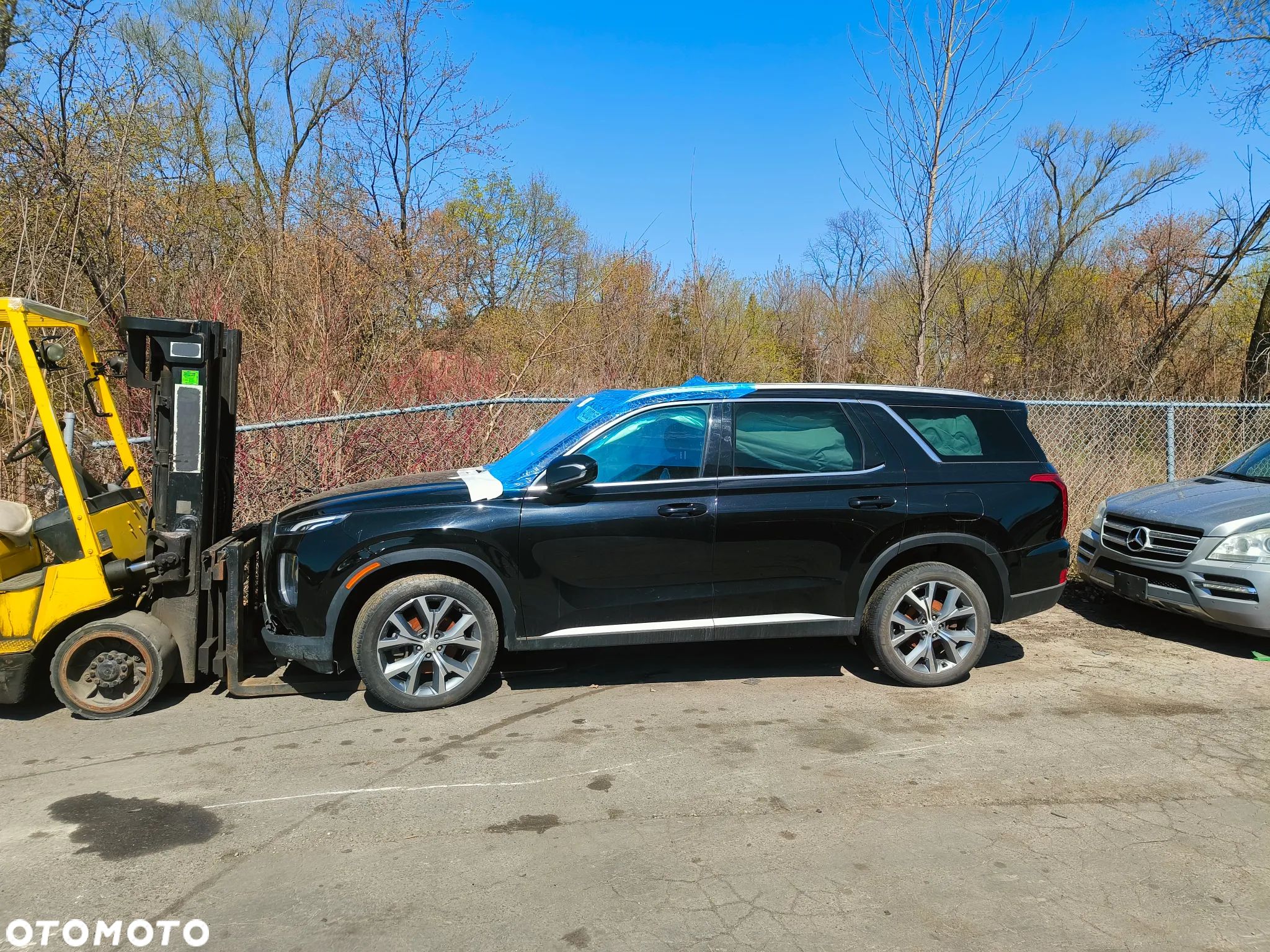 Hyundai Palisade - 1