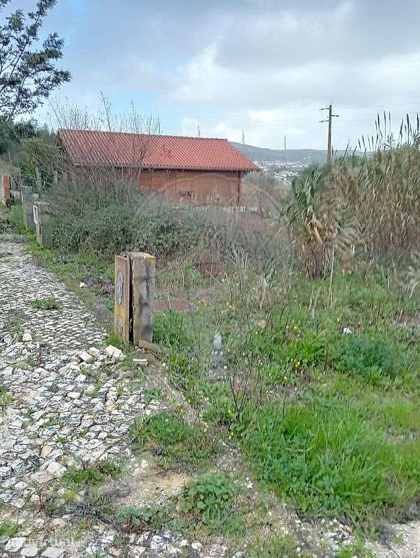 Terreno  para venda - Grande imagem: 2/10