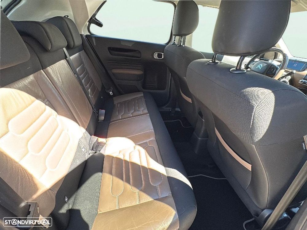 Citroën C4 Cactus 1.6 BlueHDi Shine - 15