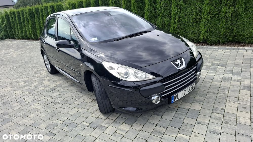 Peugeot 307 2.0 Premium Class - 10
