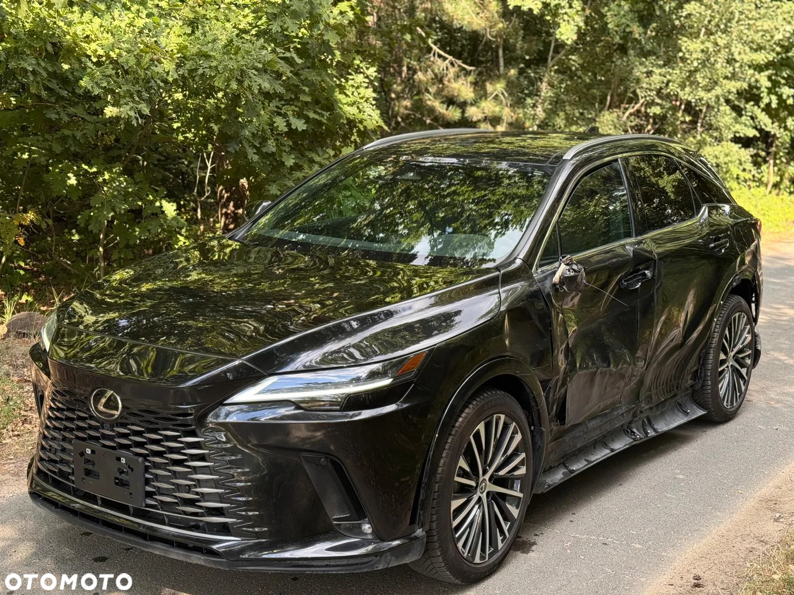 Lexus RX 350h (hybrid) Business - 7