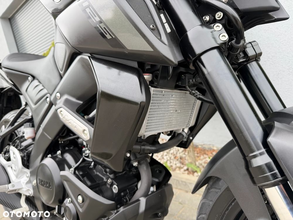 Yamaha MT - 15