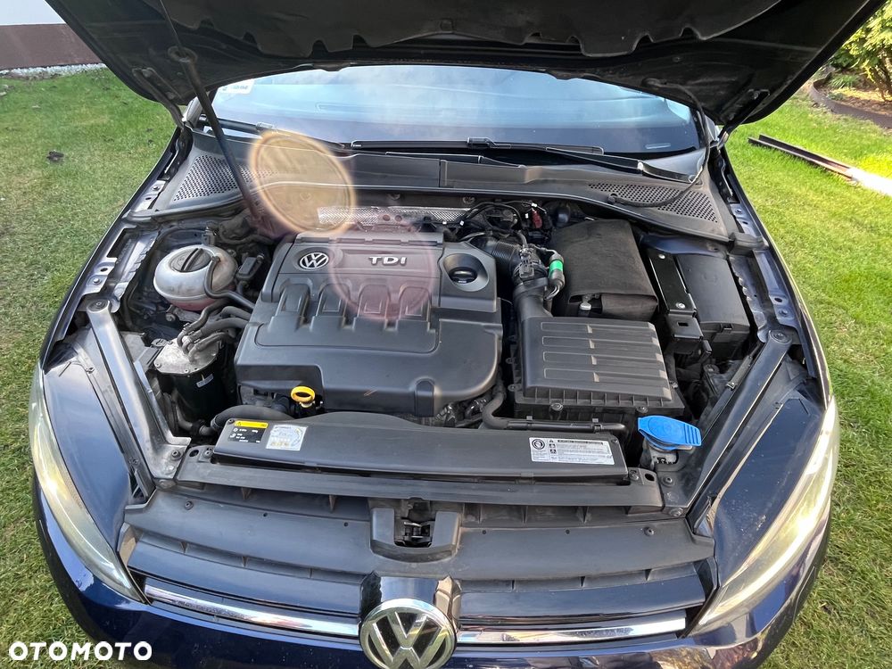 Volkswagen Golf VII 1.6 TDI BlueMotion Trendline - 11