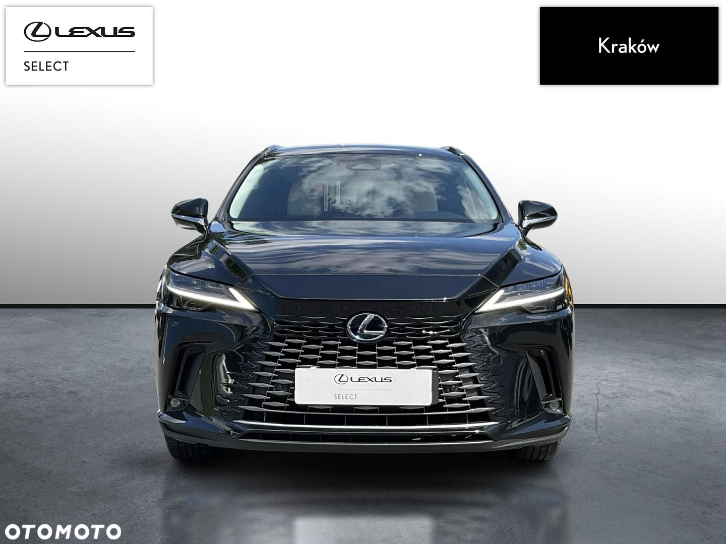 Lexus RX 450h+ Prestige - 6