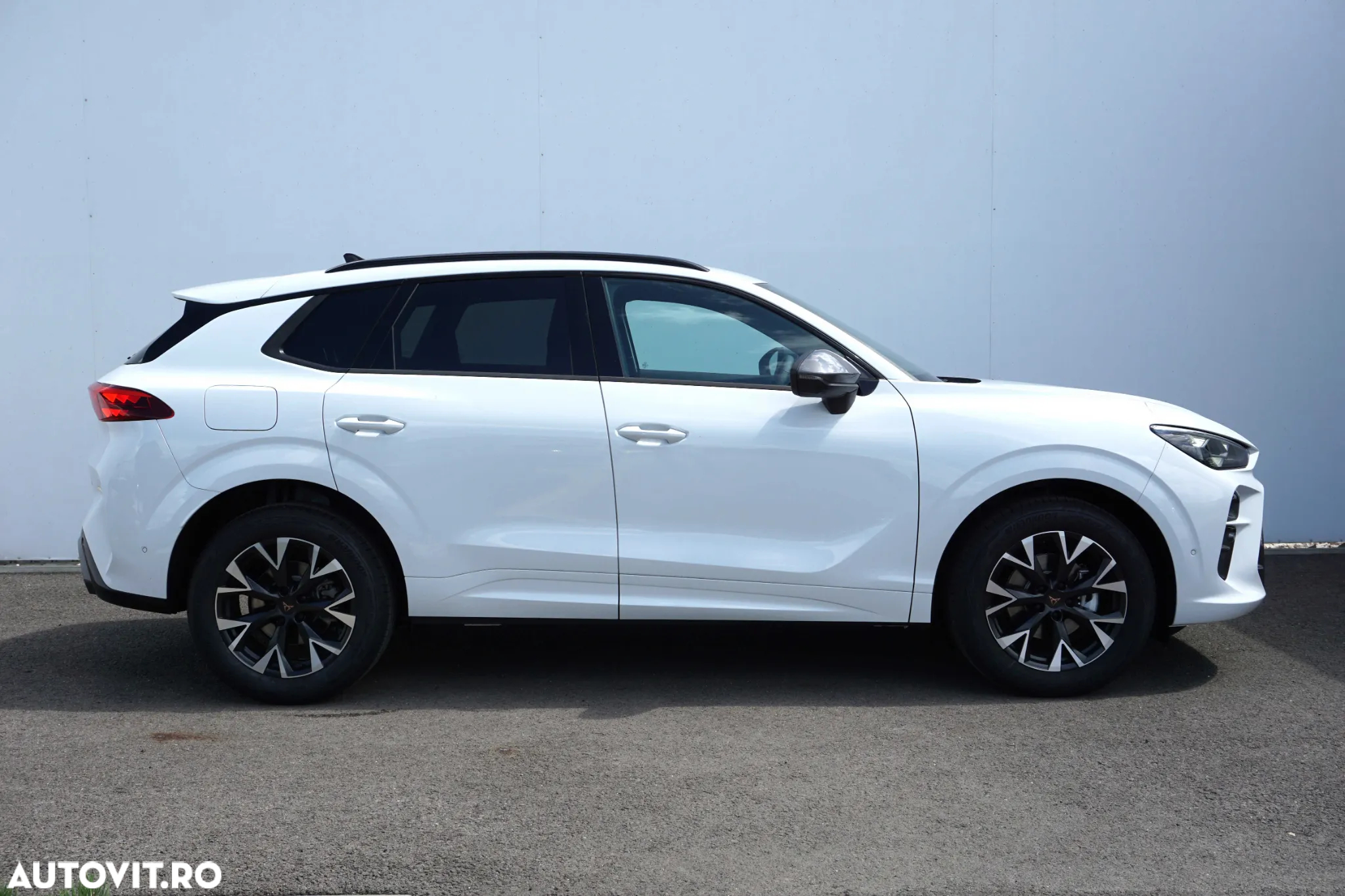 Cupra Terramar - 6