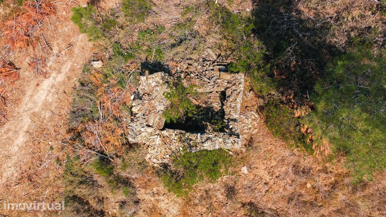 Quinta T0 Venda em Santo André das Tojeiras,Castelo Branco - Grande imagem: 5/24