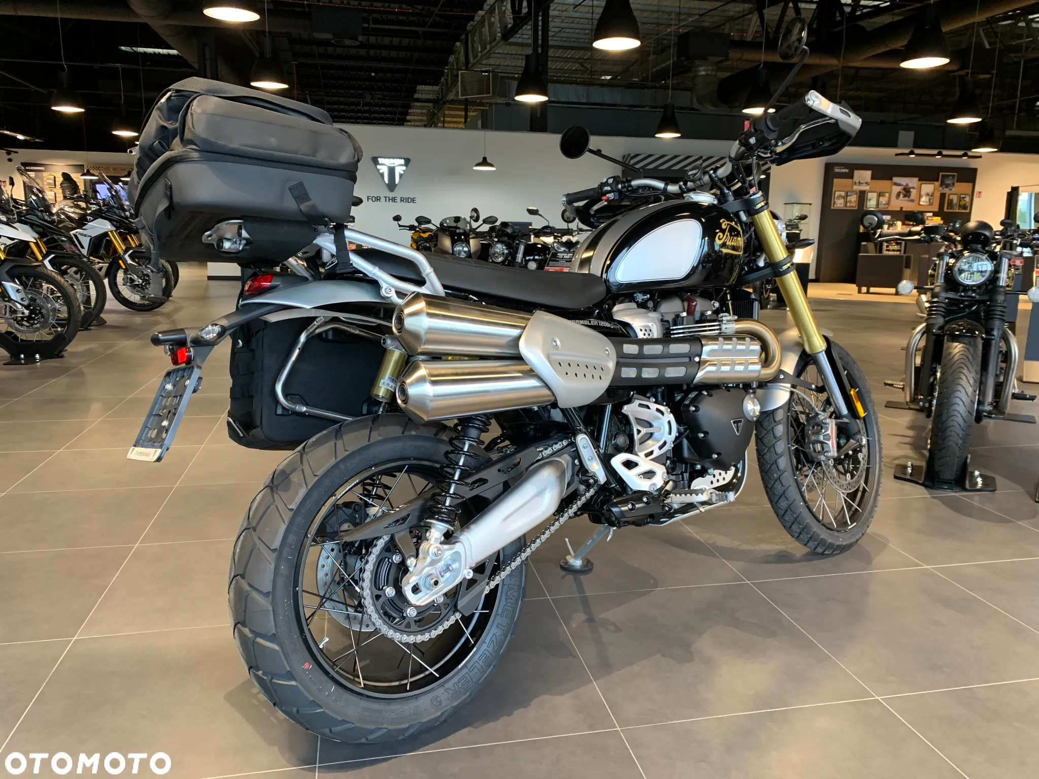 Triumph Scrambler - 4