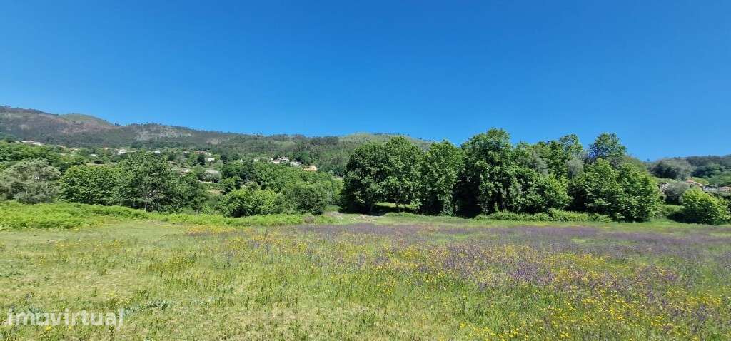 Lote p/ construção - Cantelães - Grande imagem: 5/25