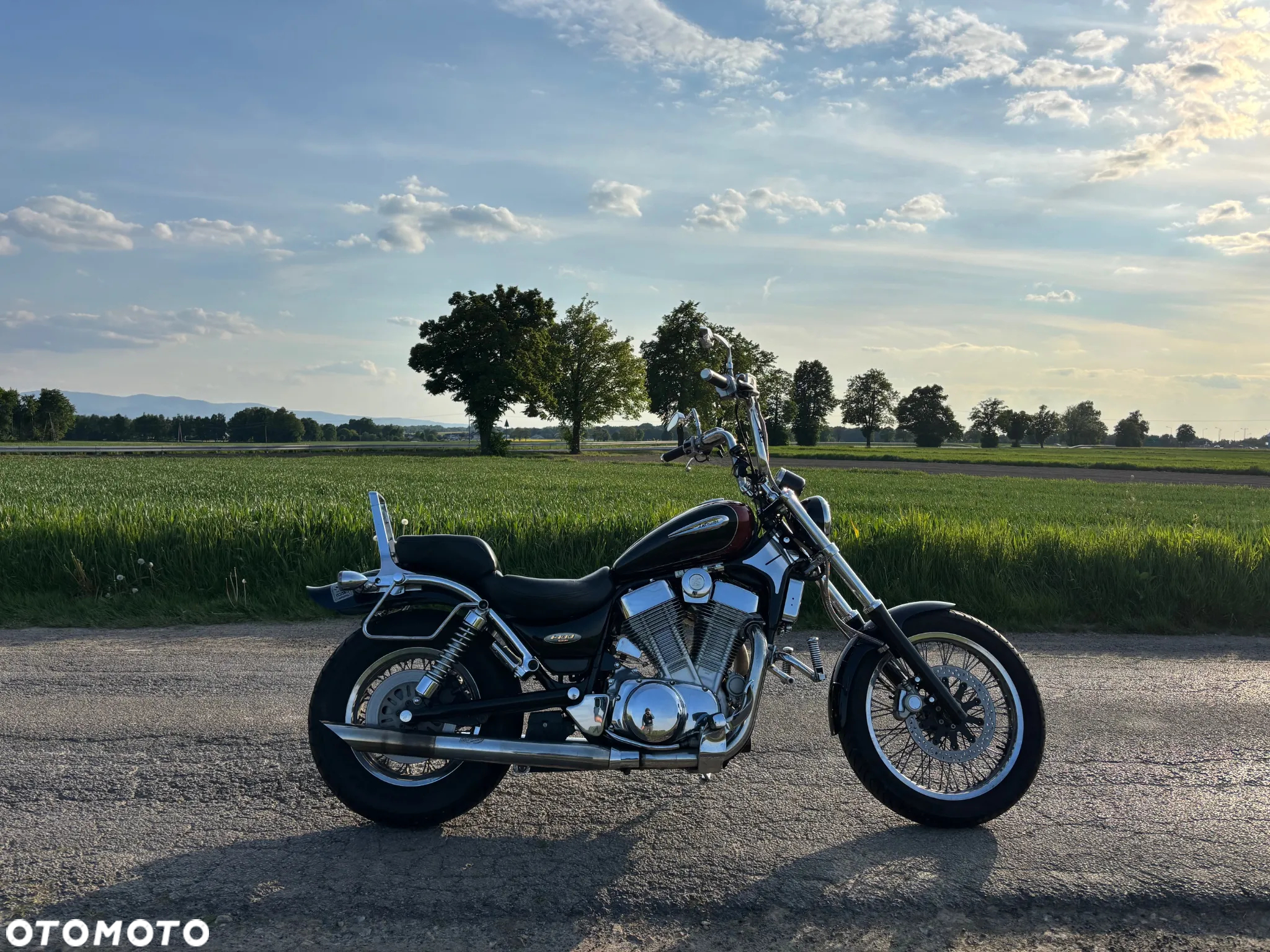 Suzuki VS - 2