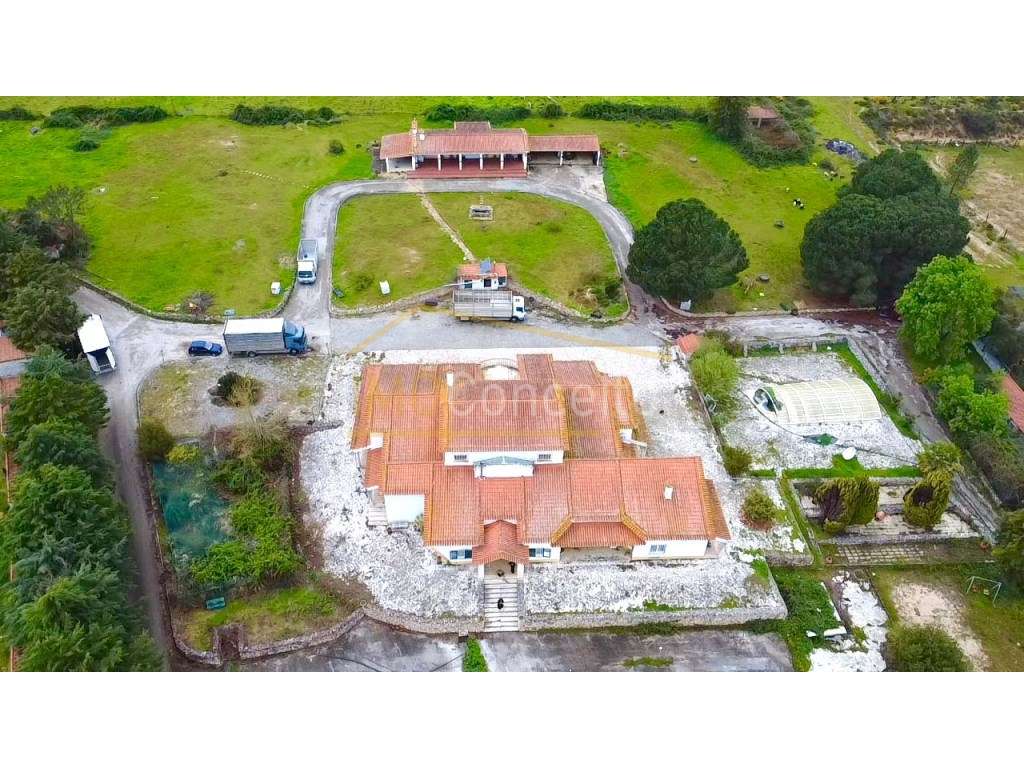 Quinta T8 | BEMPOSTA || ABRANTES - Grande imagem: 5/46