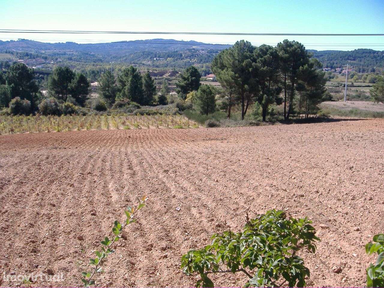 Chaves Vilar de Nantes 10.000 m2 - Grande imagem: 4/7