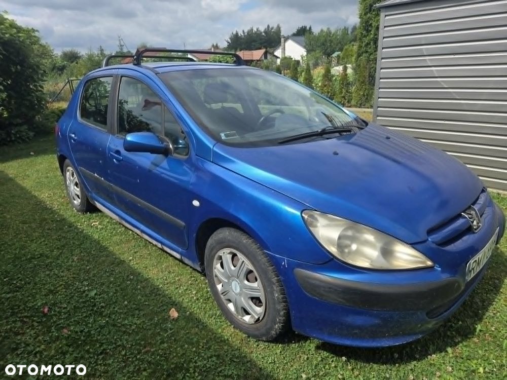 Peugeot 307 1.6 XS Class - 2
