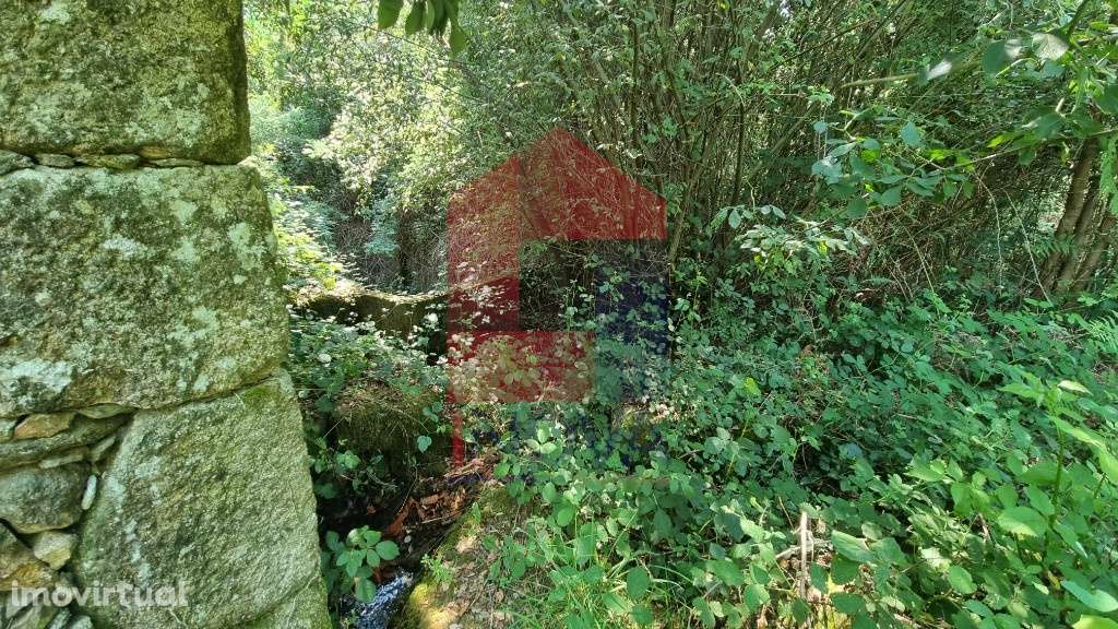 Moinho Paredes de Coura - Grande imagem: 3/14